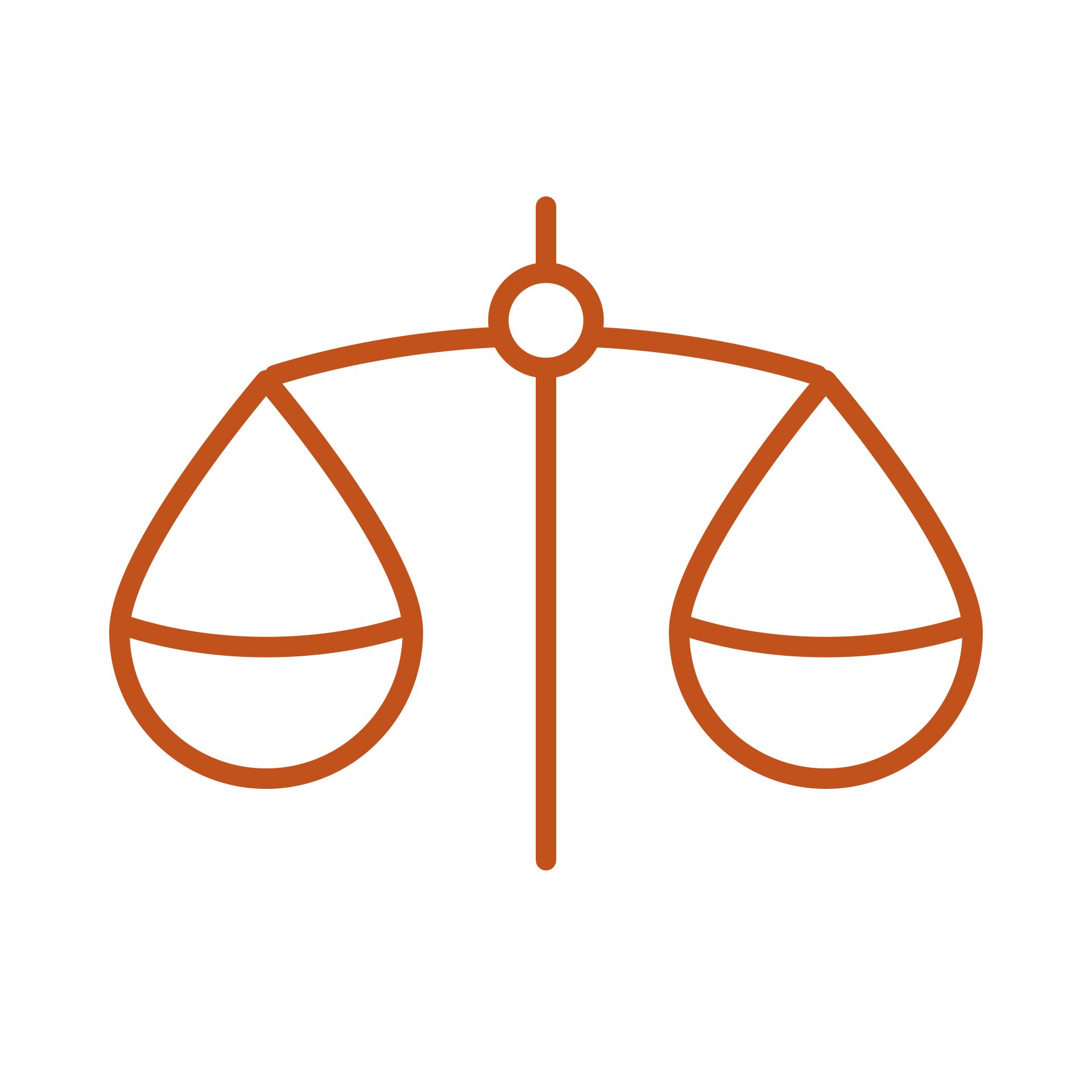 icon for this section