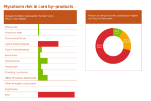 The mycotoxin risk in corn byproducts analyzed at Alltech 37+ labs during the first 6 months of 2022.